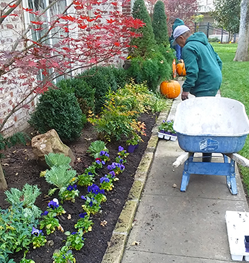 Landscape Services