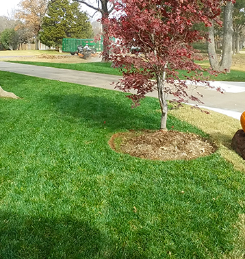Yard Installation